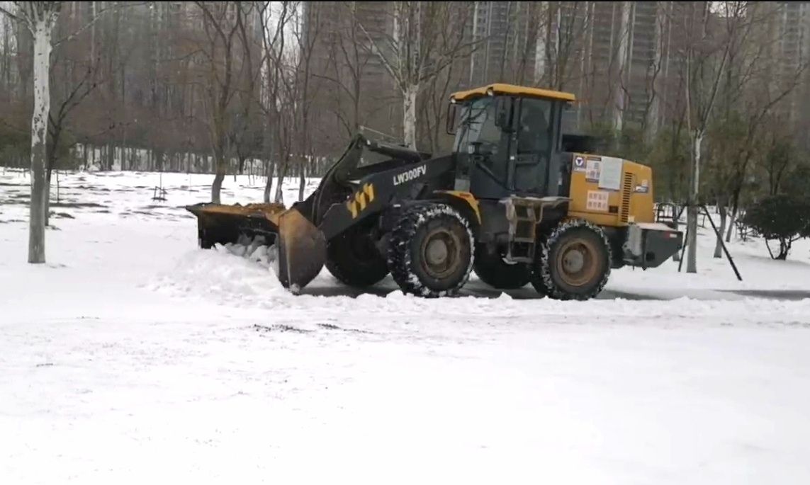 非凡体育武汉各公园主要园路均已畅通已有市民入园拍冰雪婚纱照(图7)